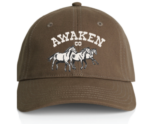 Awaken Co Dad Hat